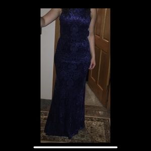 Navy Sheer Back Dress Velvet